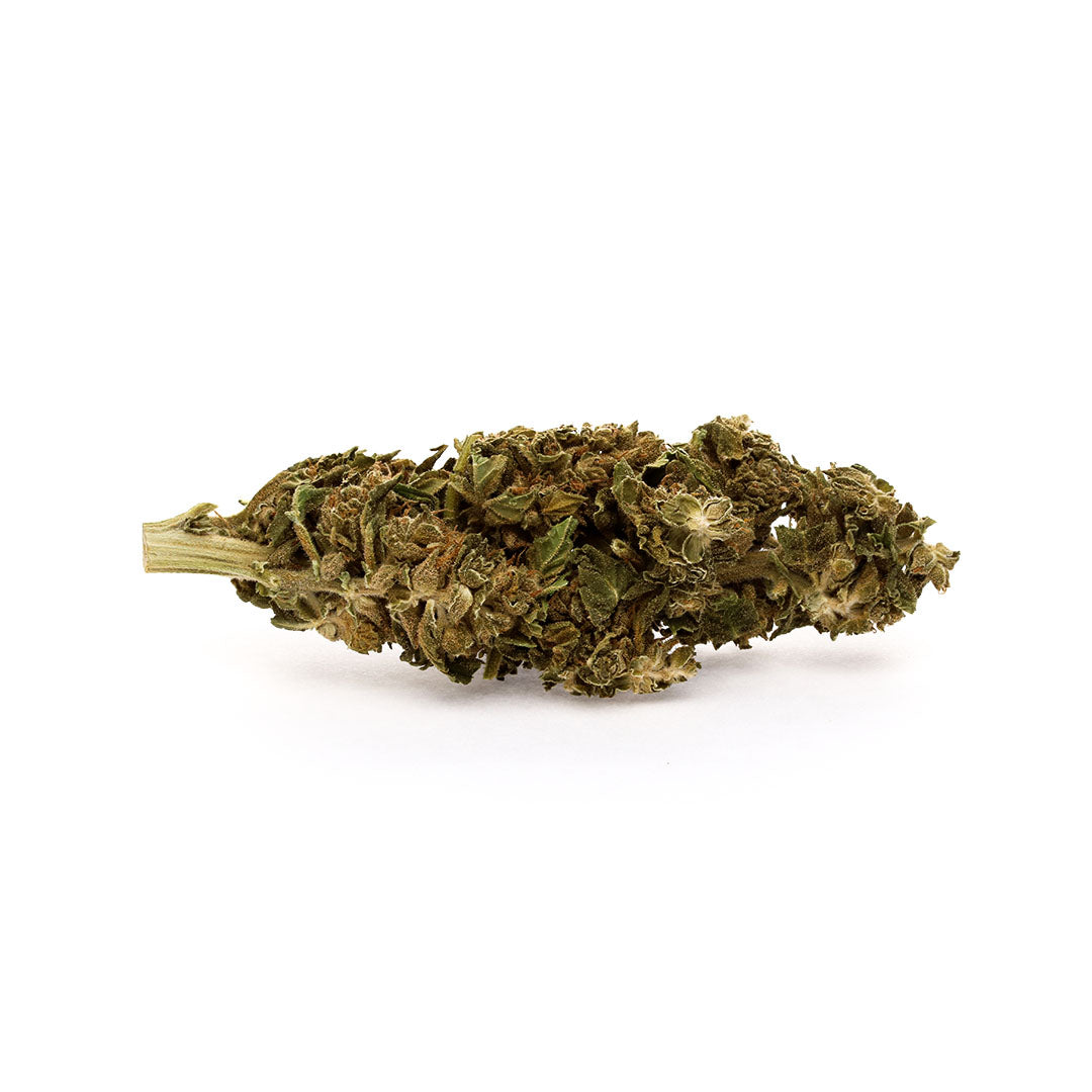 Super Lemon Haze (0% THC), We Got Weed