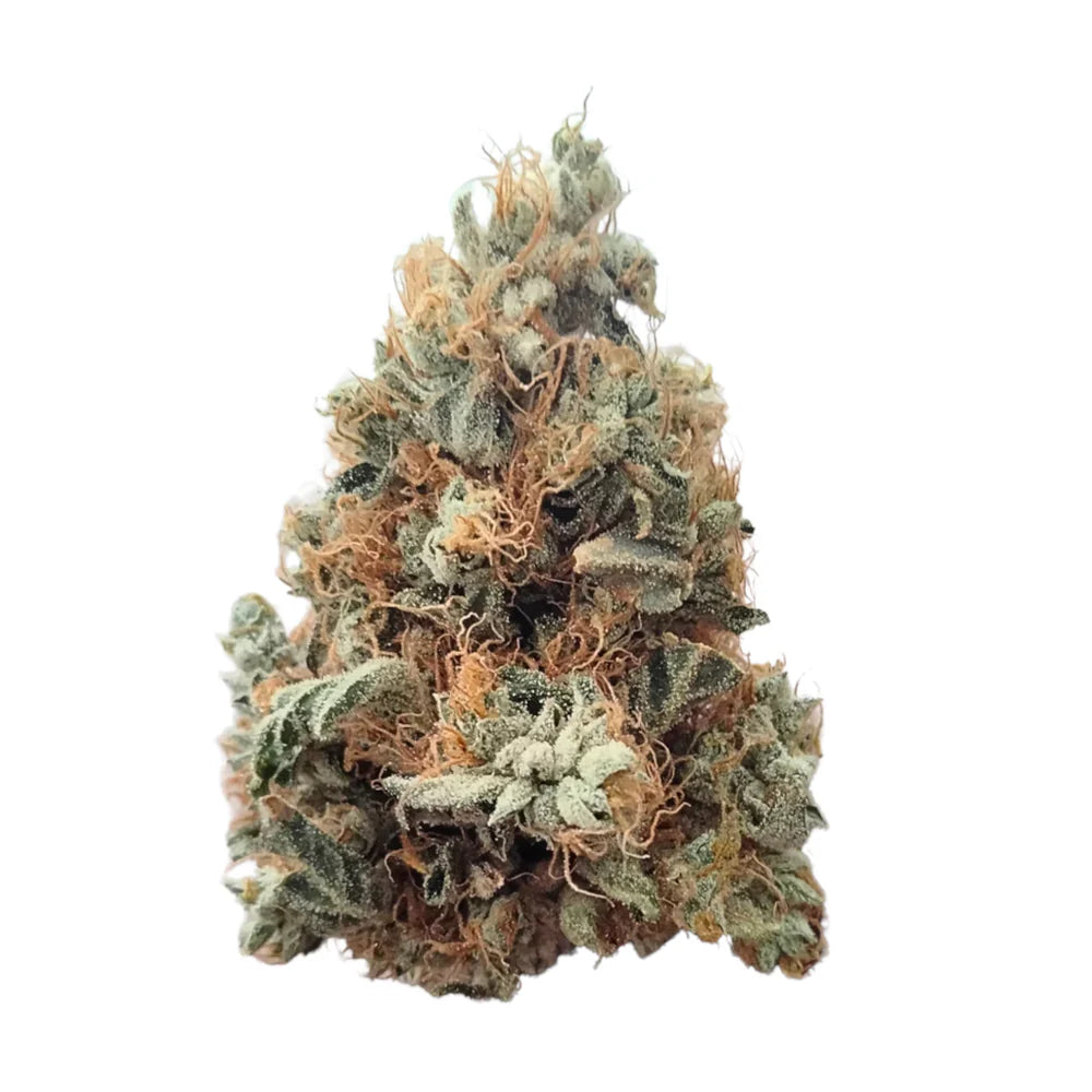 Wizard Haze (0% THC), We Got Weed